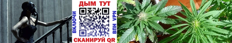 Что такое Чудово СК  МЕТАДОН  ГАШИШ  Меф мяу мяу 