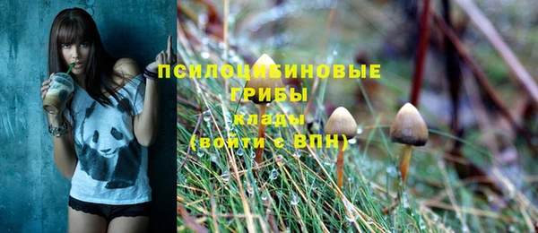 СК Балахна