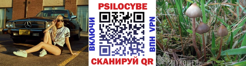 Галлюциногенные грибы ЛСД Чудово
